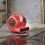 Air Movers + Carpet Blowers