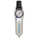 CASTAIR | Inline Filter Regulator Combo w/Gauge - 3/4 In. NPT | 5 Micron Filter