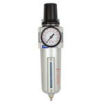 CASTAIR | Inline Filter Regulator Combo w/Gauge - 1/2 In. NPT | 5 Micron Filter