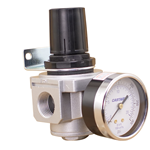 CASTAIR | Inline Regulator with Gauge | 1/2 In. NPT