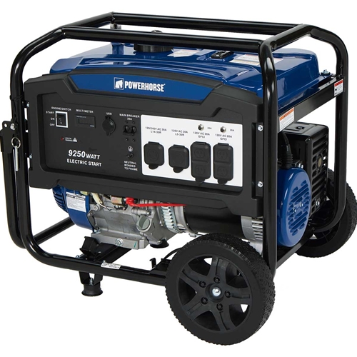 Powerhorse Portable Generator - 9250 Surge Watts, 7500 Rated Watts & Electric Start